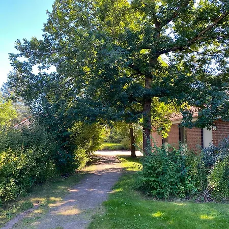 Modernes Wiesengefluester W2 Neubau 2026 An Der Mueritz Tatil Evi Röbel