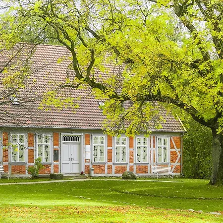 Modernes Wiesengefluester W2 Neubau 2026 An Der Mueritz Feriehus Röbel